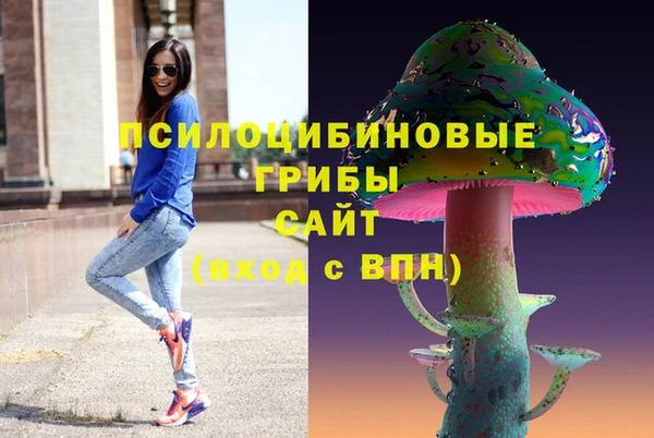 apvp Алексин