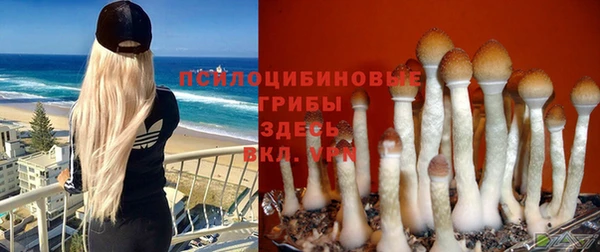 ГАЛЛЮЦИНОГЕННЫЕ ГРИБЫ Алзамай