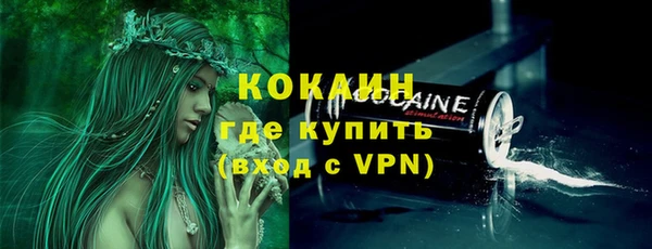 соль ск Дмитров